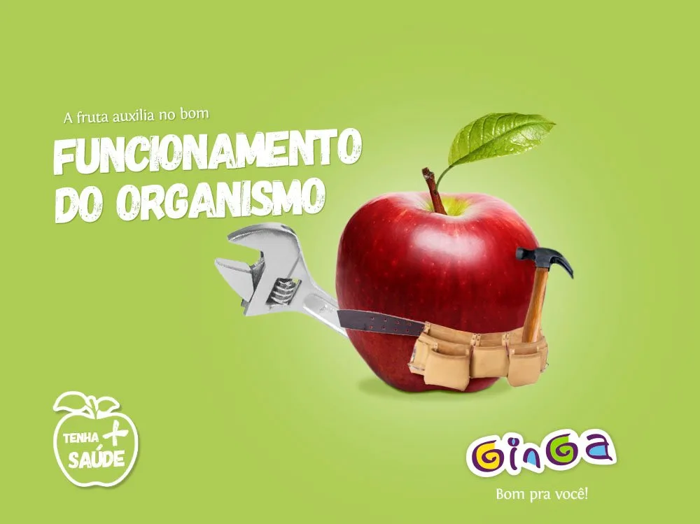Ginga – imagem 11