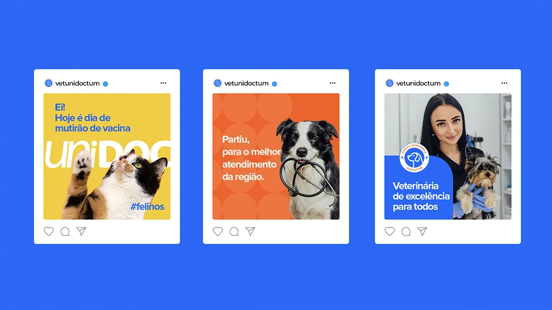 Clínica Veterinária UniDoctum – imagem 5